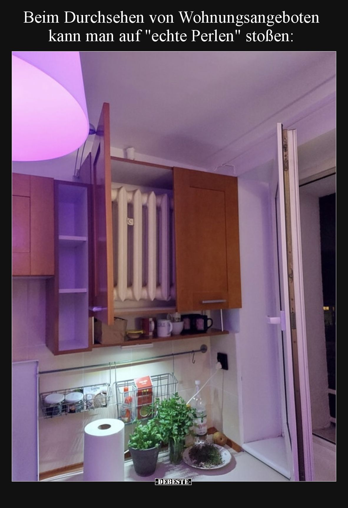 Beim Durchsehen von Wohnungsangeboten kann man auf "echte Perlen" stoßen: