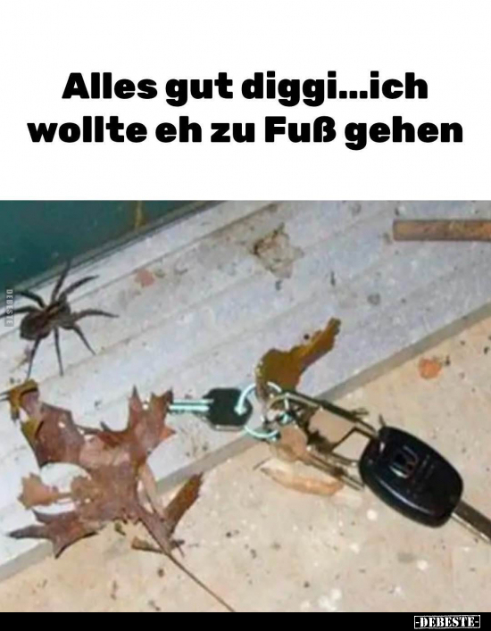 Alles Gut, Fuß