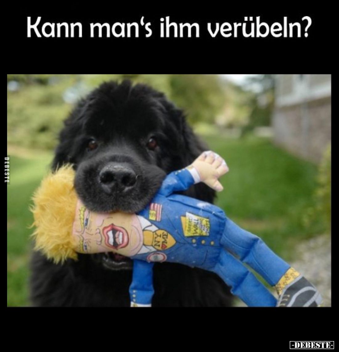 Kann man's ihm verübeln?