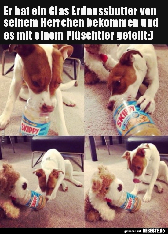 Er hat ein Glas Erdnussbutter vonseinem Herrchen bekommen..