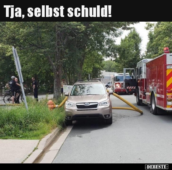 Tja, selbst schuld!..