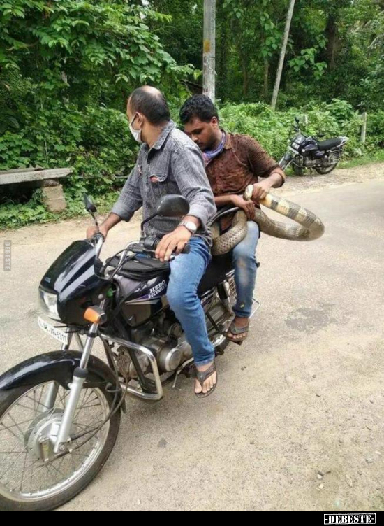  - Lustige Bilder | DEBESTE.de