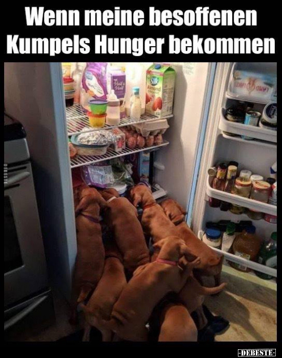 Wenn meine besoffenen Kumpels Hunger bekommen.. - Lustige Bilder | DEBESTE.de