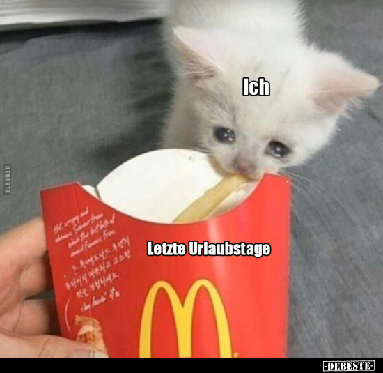 Ich / Letzte Urlaubstage..