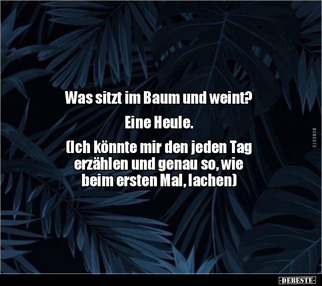 Was sitzt im Baum und weint? Eine Heule.. - Lustige Bilder | DEBESTE.de
