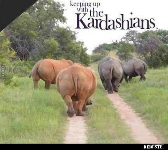  - Lustige Bilder | DEBESTE.de