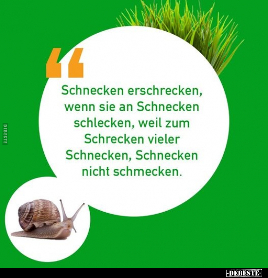 Schnecken erschrecken, wenn sie an Schnecken schlecken.. - Lustige Bilder | DEBESTE.de