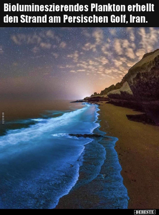 Biolumineszierendes Plankton erhellt den Strand am..