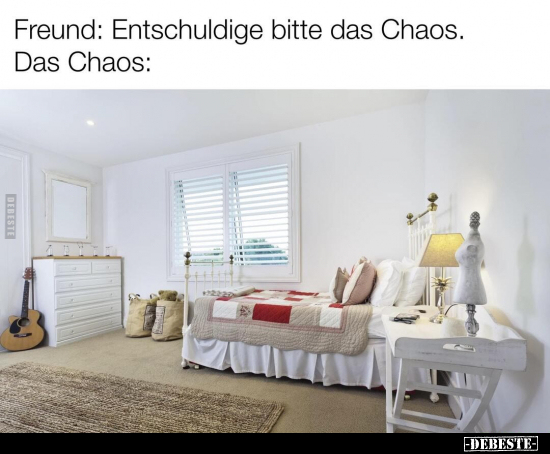 Freund: Entschuldige bitte das Chaos. Das Chaos.. - Lustige Bilder | DEBESTE.de