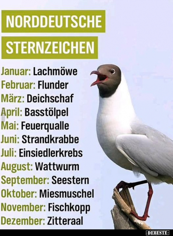 Norddeutsche Sternzeichen.. - Lustige Bilder | DEBESTE.de