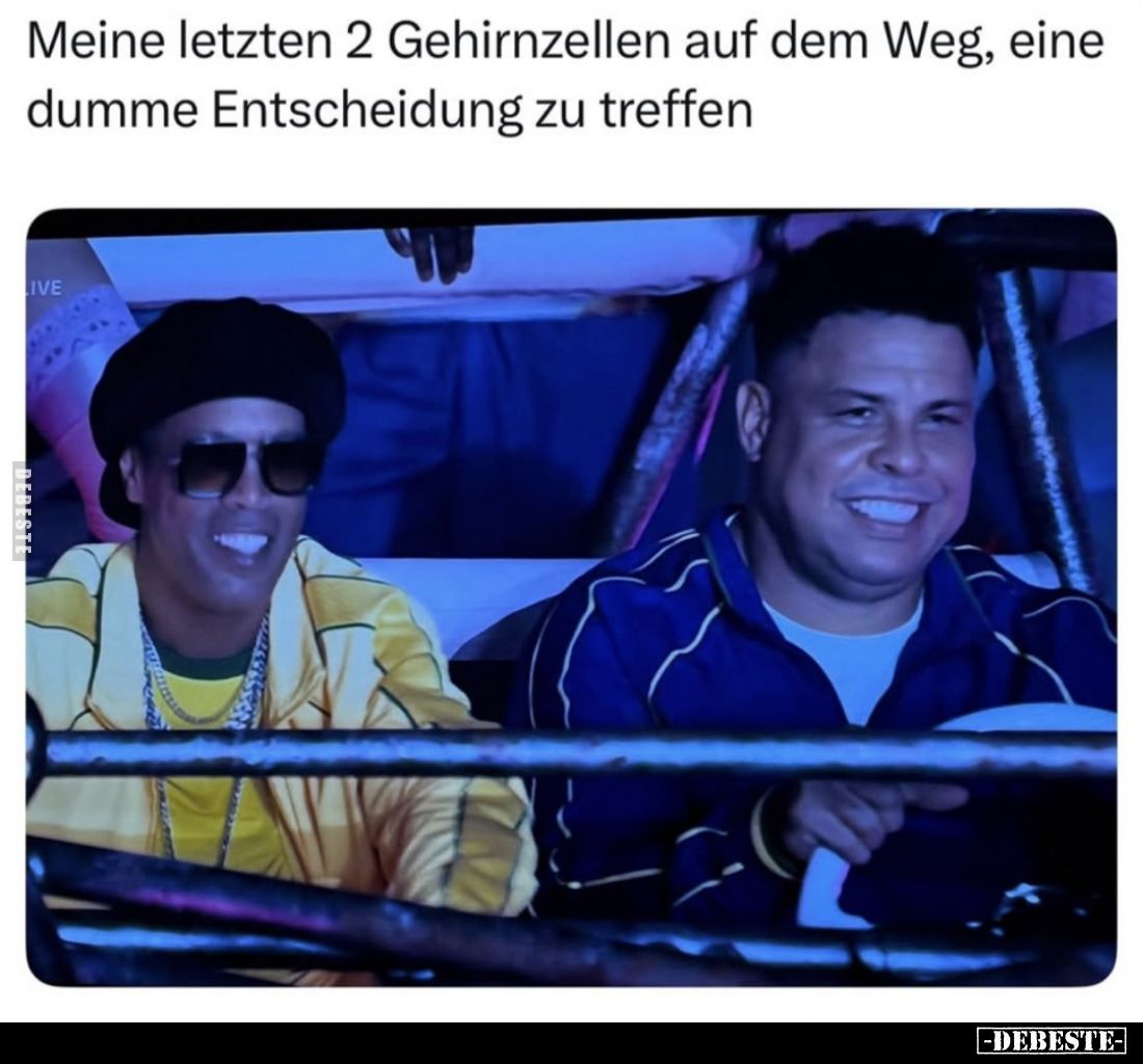 Meine letzten 2 Gehirnzellen auf dem Weg, eine dumme Entscheidung zu treffen