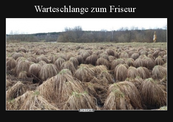 Warteschlange zum Friseur.. - Lustige Bilder | DEBESTE.de