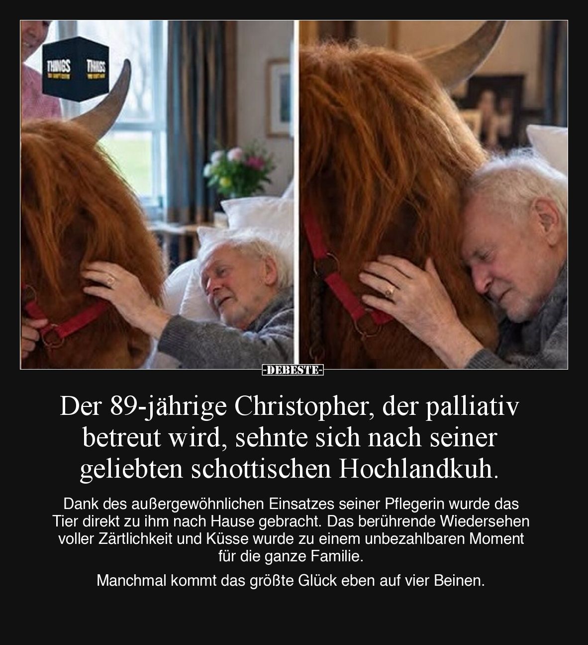Der 89-jährige Christopher, der palliativ betreut wird, sehnte sich nach seiner geliebten schottischen Hochlandkuh.

Dank d...