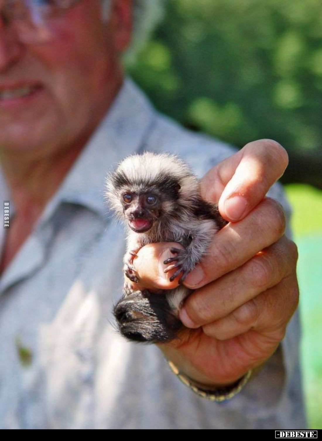  - Lustige Bilder | DEBESTE.de