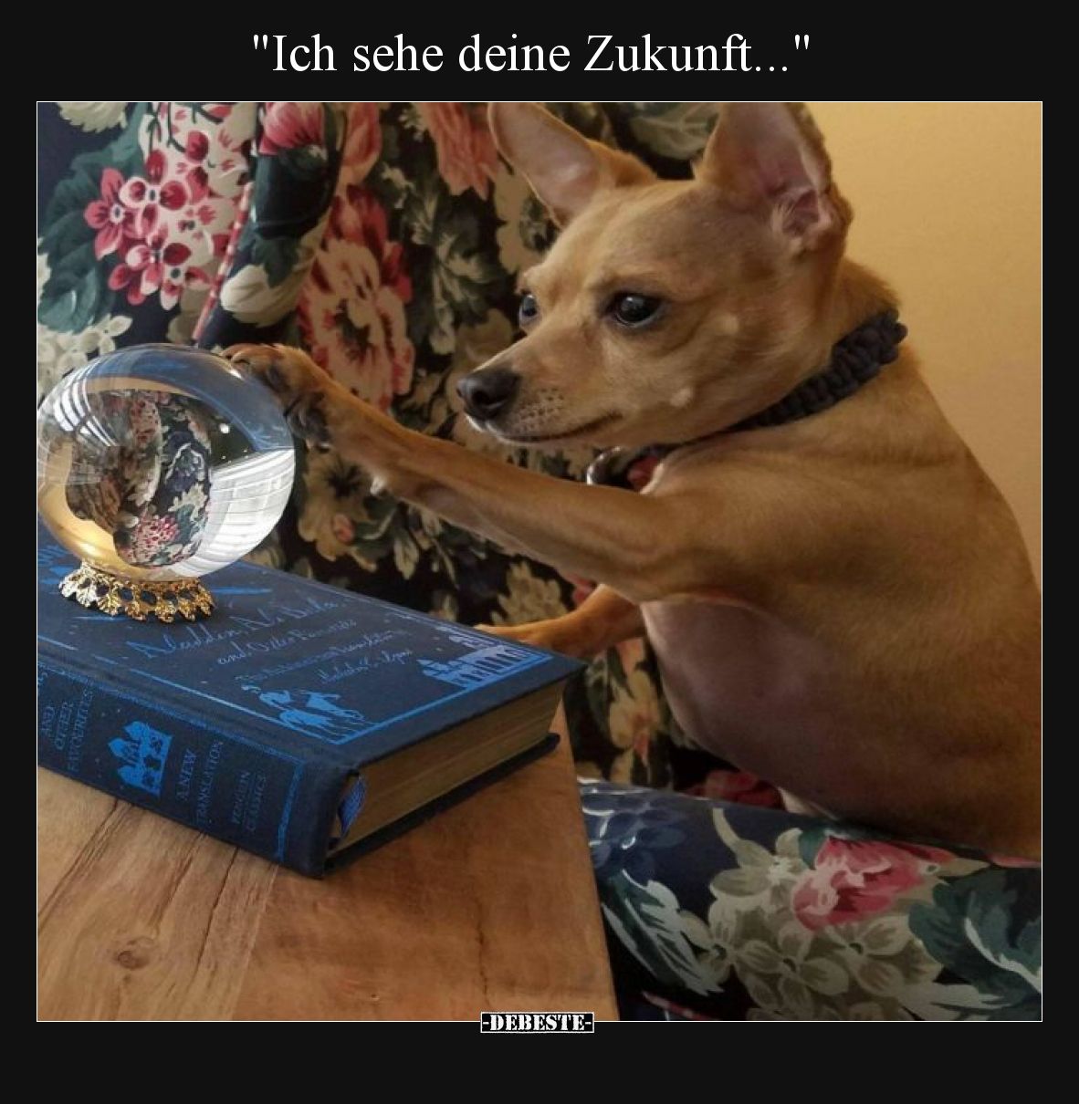 Ich sehe deine Zukunft.
