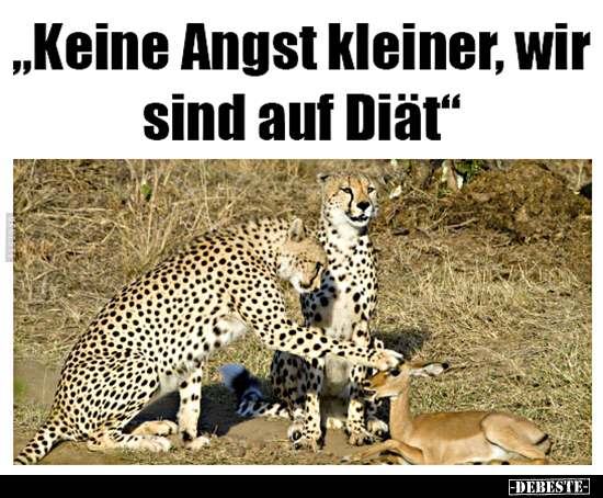 "Keine Angst kleiner, wir sind auf Diät."..