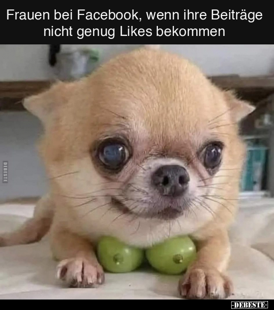 Frauen bei Facebook, wenn ihre Beiträge nicht genug Likes.. - Lustige Bilder | DEBESTE.de