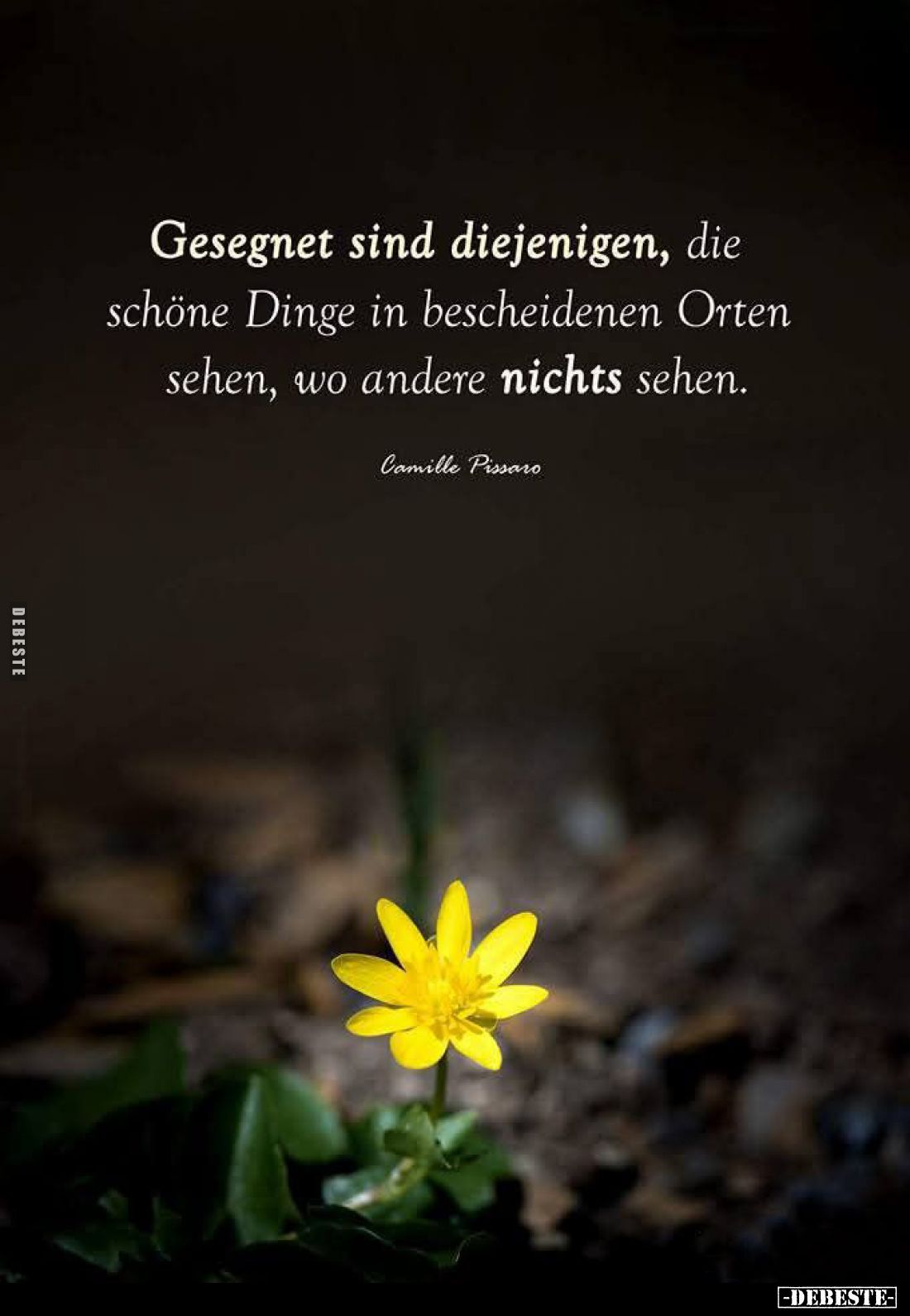 Gesegnet sind diejenigen, die schöne Dinge in bescheidenen Orten sehen, wo andere nichts sehen.