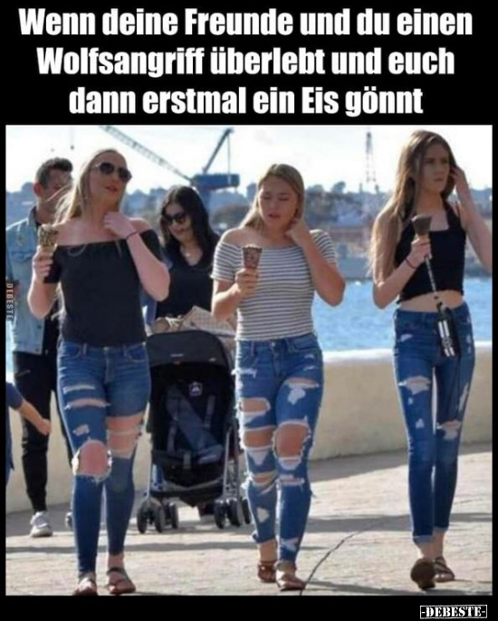 Wenn deine Freunde und du einen Wolfsangriff überlebt und..