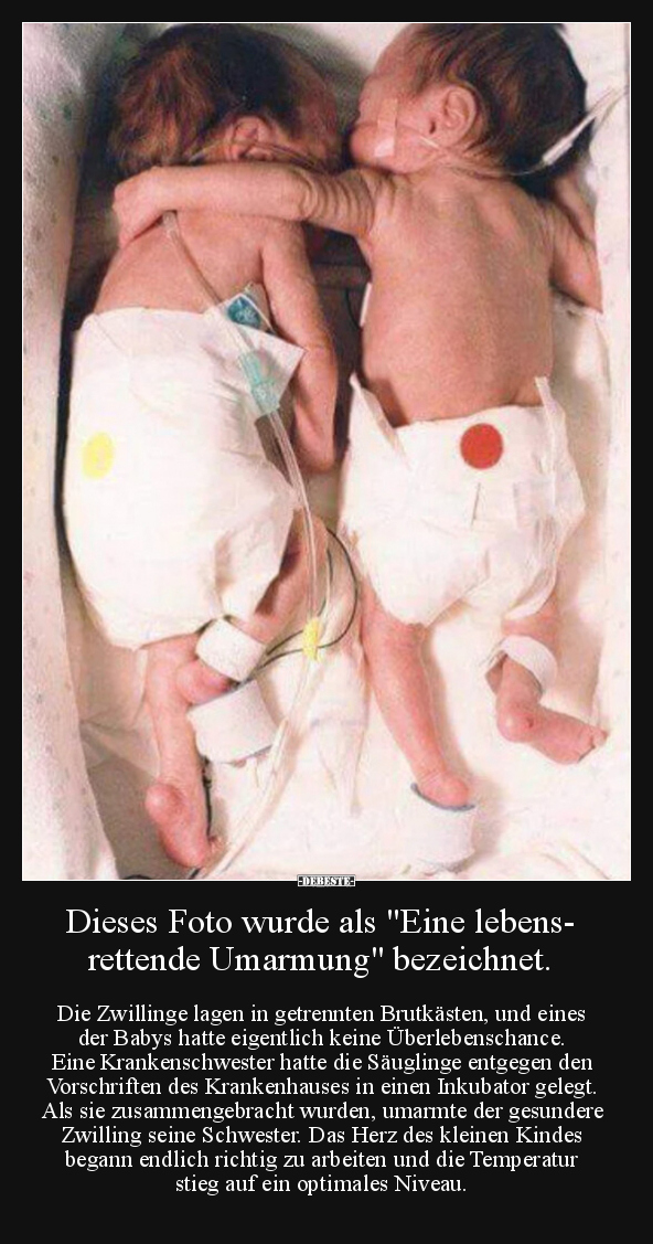 Dieses Foto wurde als "Eine lebensrettende Umarmung".. - Lustige Bilder | DEBESTE.de