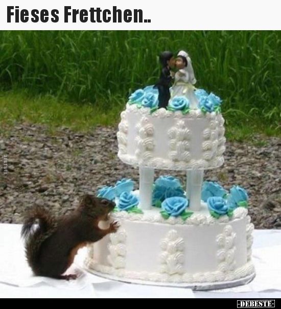 Fieses Frettchen..