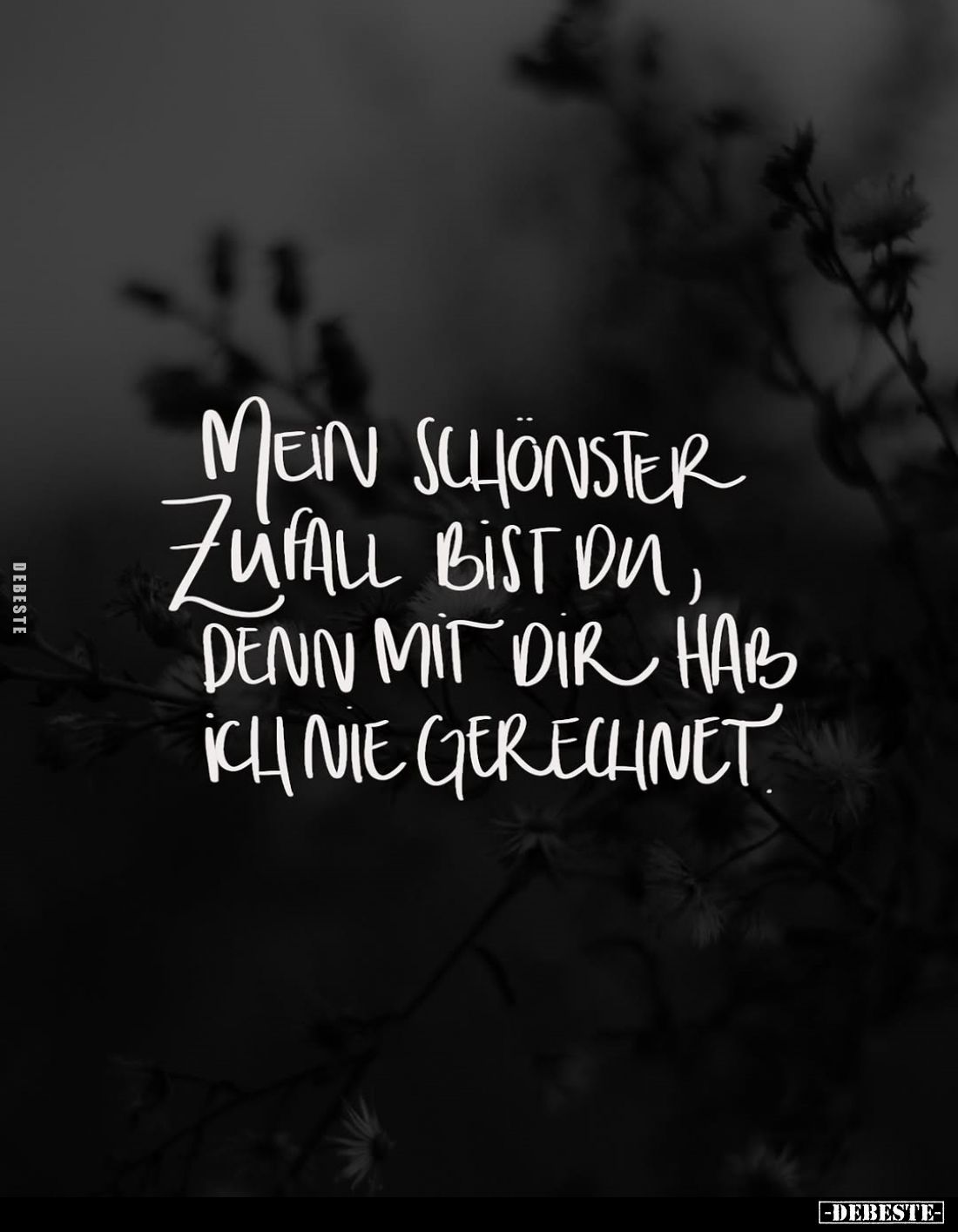 Mein schönster Zufall bist du, denn mit dir hab ich nie gerechnet.