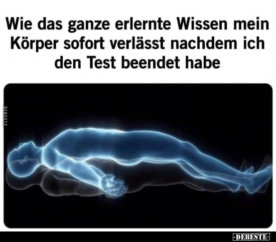 Wie das ganze erlernte Wissen mein Körper sofort verlässt..