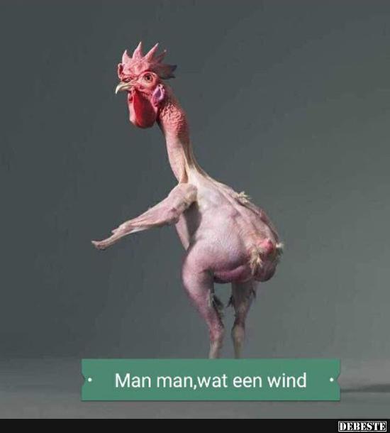 Man man, wat een wind..