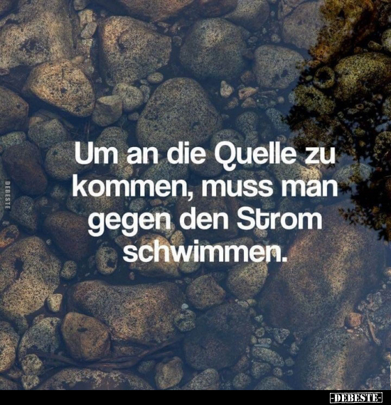 Kommen, Strom, Schwimmen