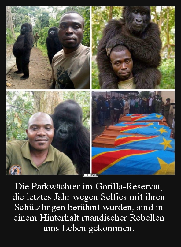 Die Parkwachter Im Gorilla Reservat Die Letztes Jahr Lustige Bilder Spruche Witze Echt Lustig