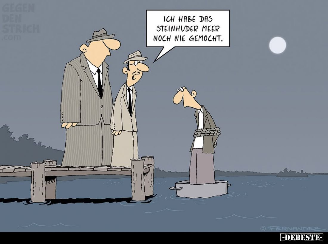 Ich habe das Steinhuder Meer noch nie gemocht.