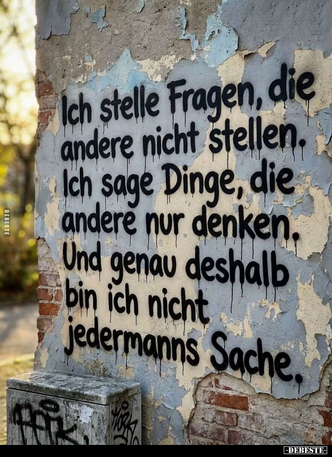 Ich stelle Fragen, die
andere nicht stellen.
Ich sage Dinge, die
andere nur denken.
Und genau deshalb
bin ich nicht
jed...