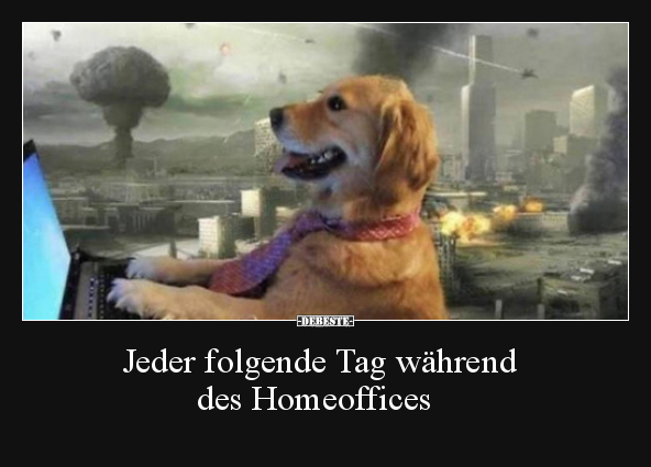 Jeder folgende Tag während des Homeoffices.. - Lustige Bilder | DEBESTE.de