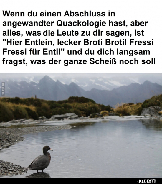 Wenn du einen Abschluss in angewandter Quackologie hast.. - Lustige Bilder | DEBESTE.de