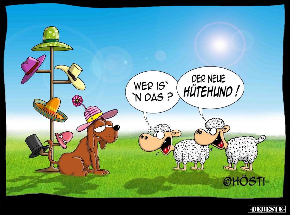 Wer is 'n das?
Der neue Hütehund!