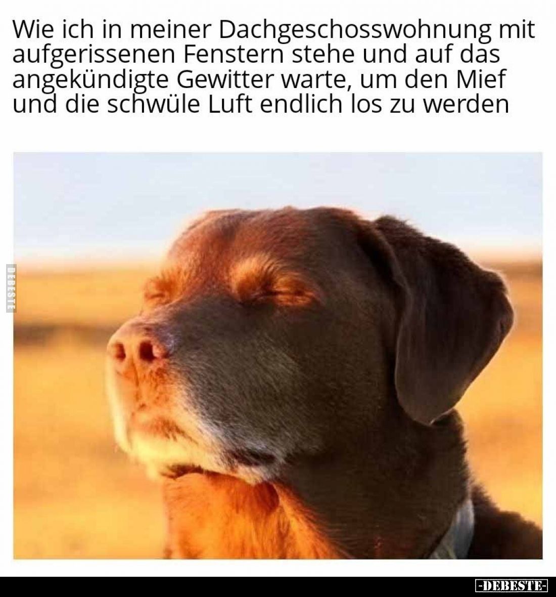 Wie ich in meiner Dachgeschosswohnung mit aufgerissenen Fenstern stehe und auf das angekündigte Gewitter warte, um den Mief u...