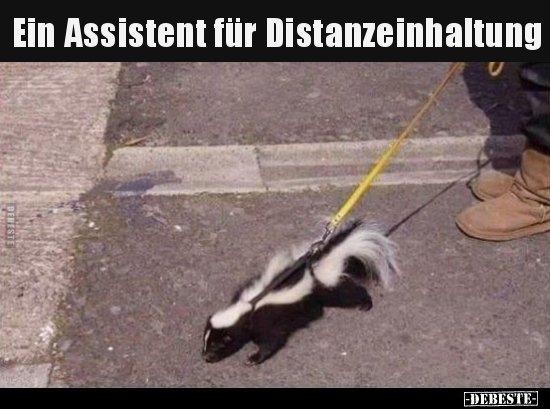 Ein Assistent für Distanzeinhaltung.. - Lustige Bilder | DEBESTE.de