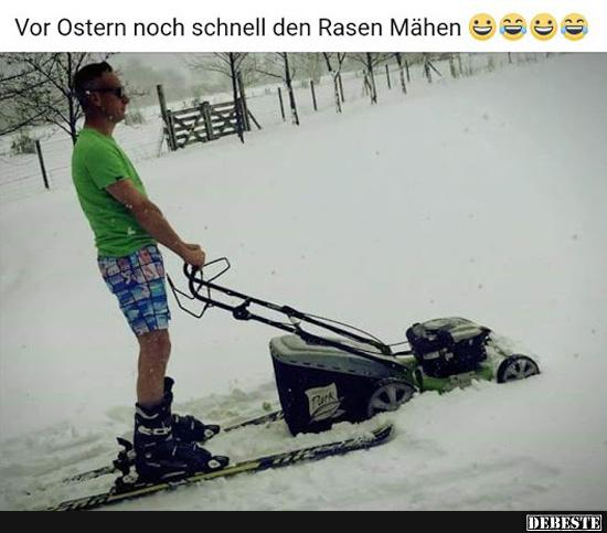 Vor Ostern noch schnell den Rasen Mähen.. - Lustige Bilder | DEBESTE.de