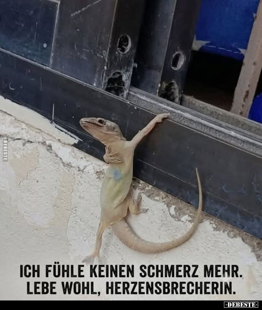 Ich fühle keinen Schmerz mehr.
Lebe wohl, Herzensbrecherin.