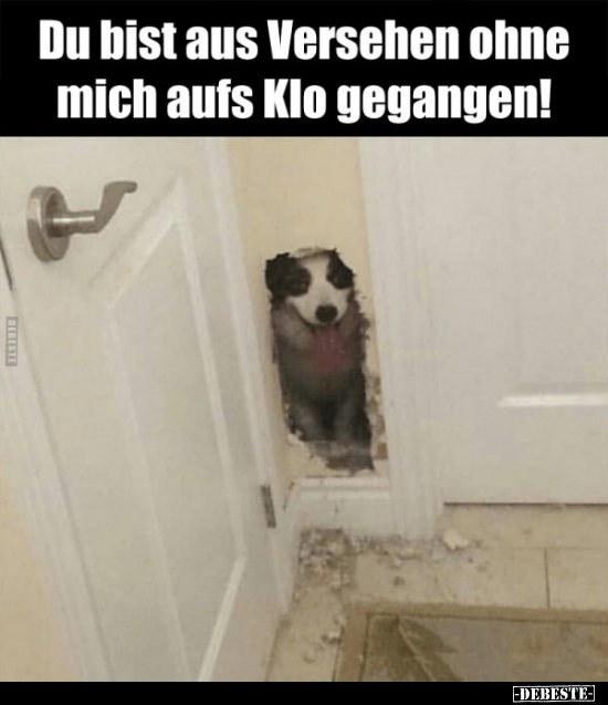 Du bist aus Versehen ohne mich aufs Klo gegangen!.. - Lustige Bilder | DEBESTE.de