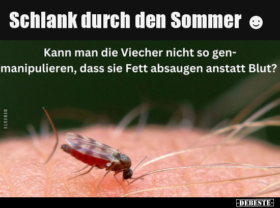 Schlank durch den Sommer.. - Lustige Bilder | DEBESTE.de