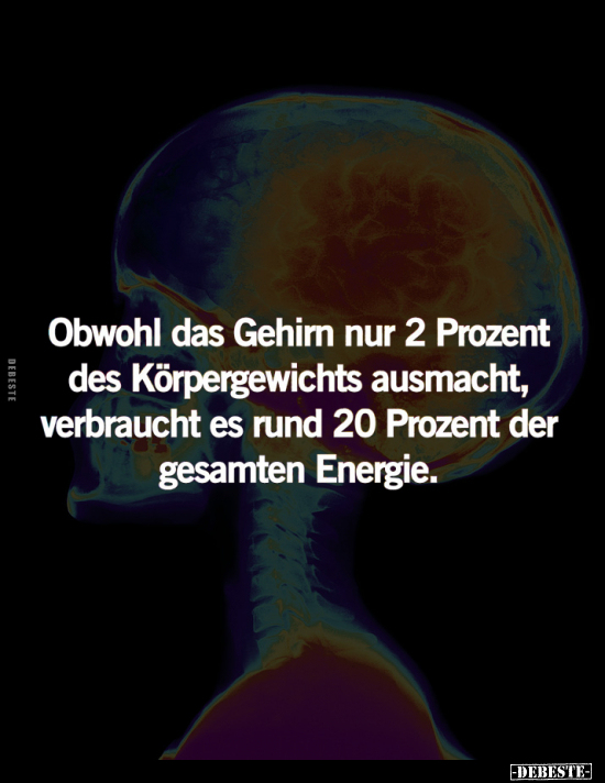 Obwohl das Gehirn nur 2 Prozent des Körpergewichts ausmacht, verbraucht es rund 20 Prozent der gesamten Energie.