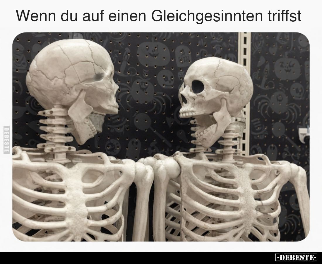 Wenn du auf einen Gleichgesinnten triffst.
