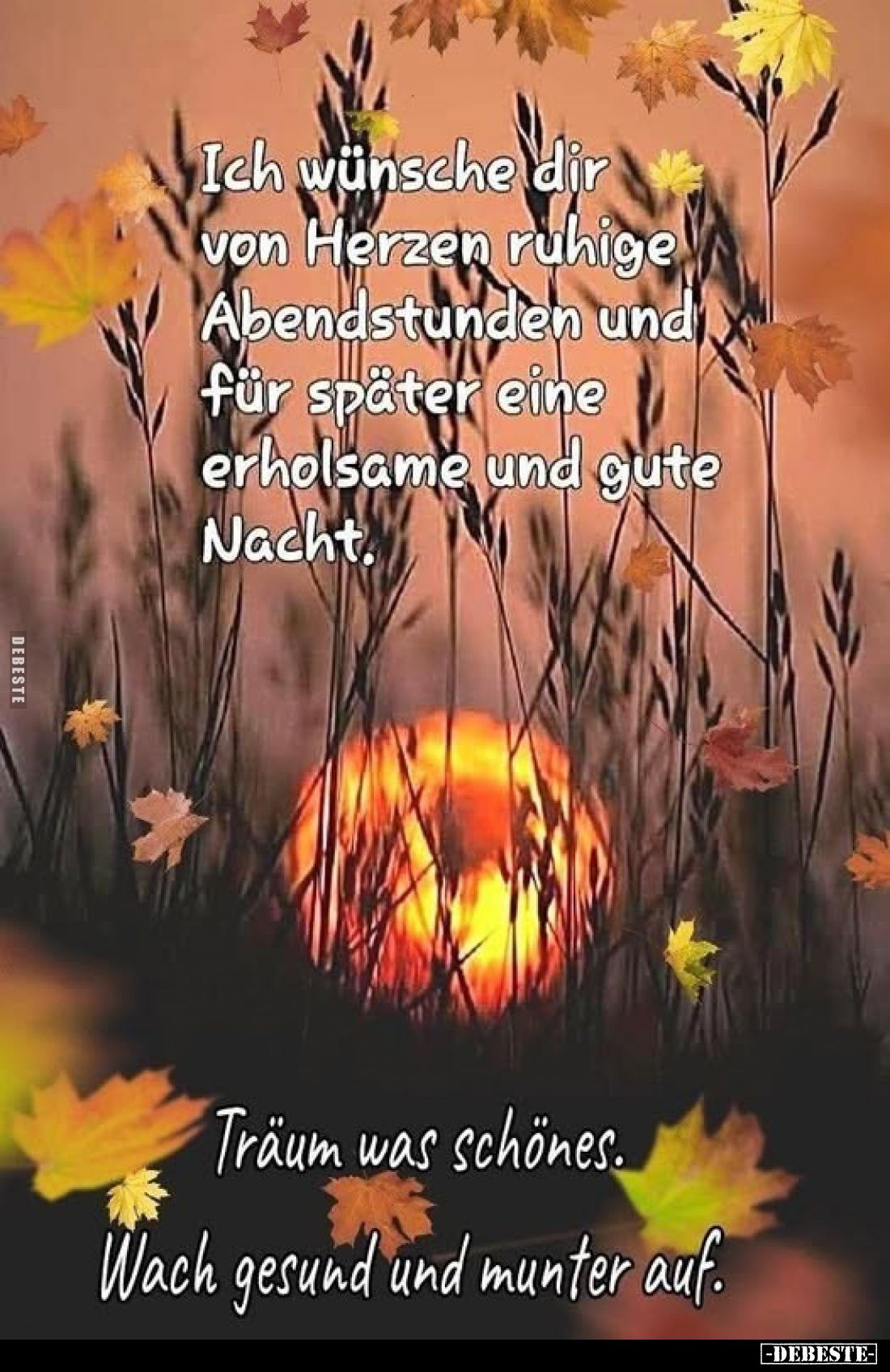 Ich wünsche dir von Herzen ruhige Abendstunden und für später eine erholsame und gute Nacht.
Träum was schönes.
Wach gesund...