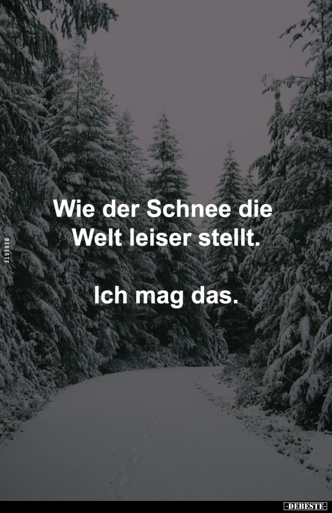 Wie der Schnee die 
Welt leiser stellt.

Ich mag das.