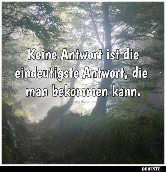 Keine Antwort ist die eindeutigste Antwort, die man.. - Lustige Bilder | DEBESTE.de