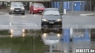 Dumm ist der, der Dummes tut...