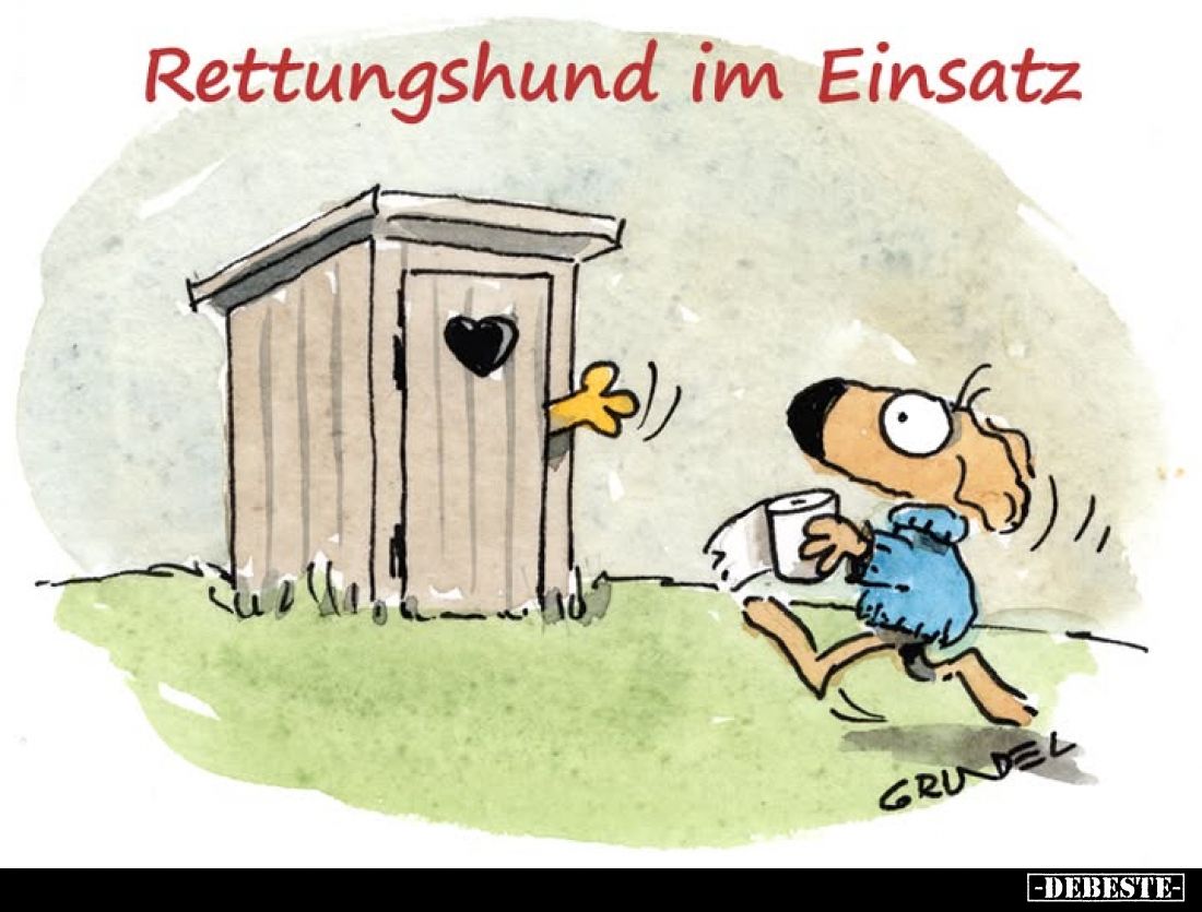 Rettungshund im Einsatz.