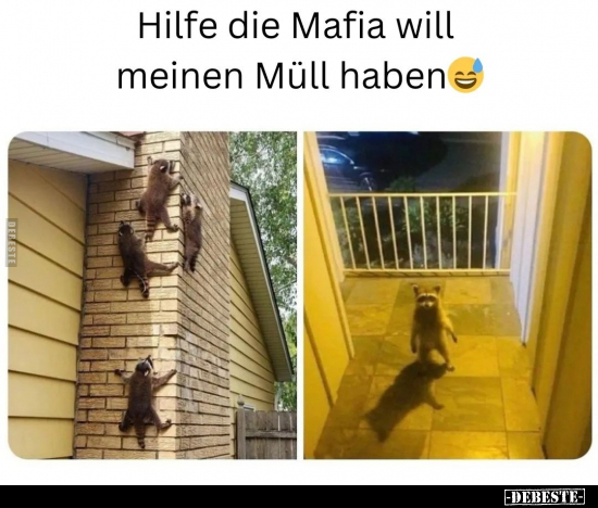 Hilfe die Mafia will meinen Müll haben.. - Lustige Bilder | DEBESTE.de