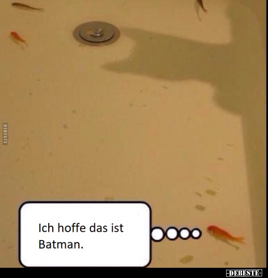 Ich hoffe das ist Batman... - Lustige Bilder | DEBESTE.de